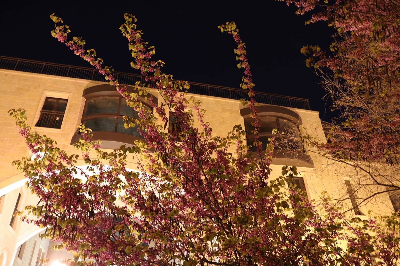 תיעוד מרהיב: חומות העיר העתיקה בירושלים