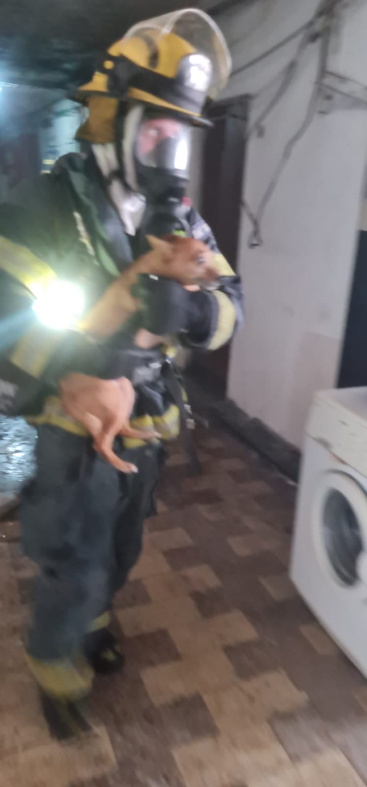 תיעוד דרמטי: האש פרצה, הדיירים איבדו הכרה