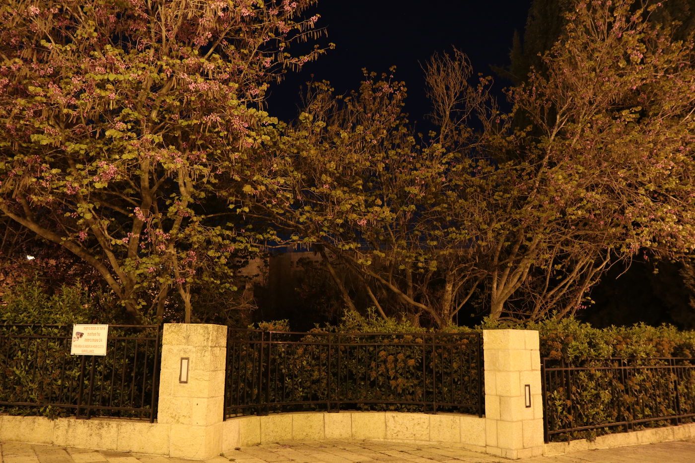 תיעוד מרהיב: חומות העיר העתיקה בירושלים