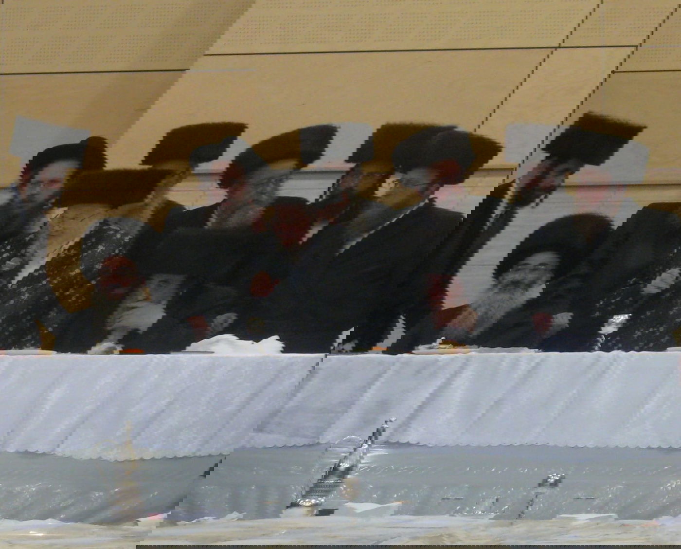 עם הרבי מויז'ניץ