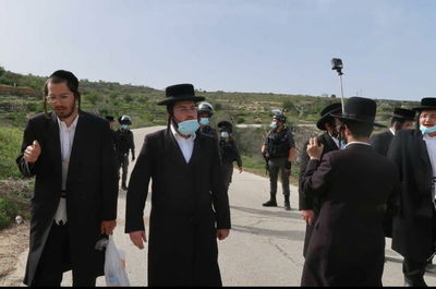 המפגינים, הבוקר