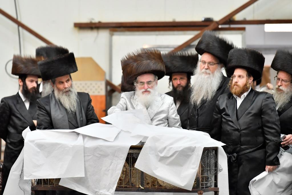 כשהאדמו"ר מויז'ניץ למד עם נכדו בבית המדרש