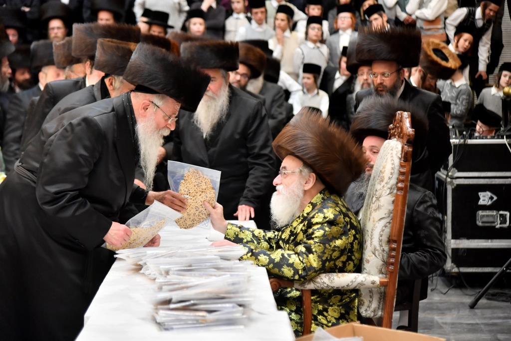 כשהאדמו"ר מויז'ניץ למד עם נכדו בבית המדרש