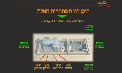 מסכת שקלים, דף י"ז • סיכום והמחשה של הדף היומי