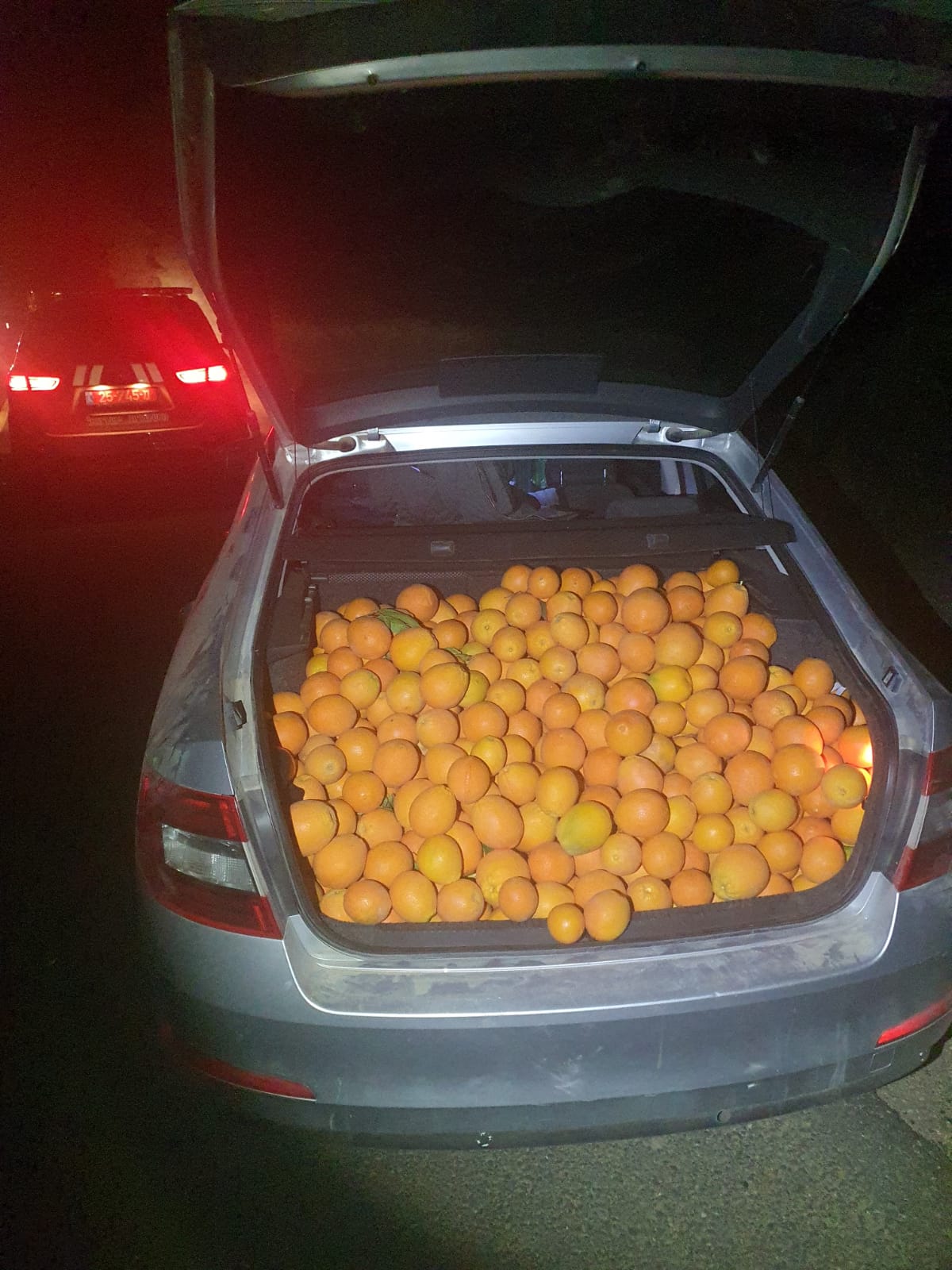 התפוזים בתא המטען