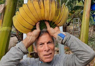 צפו בזן הבננות החדש בעל המראה הייחודי