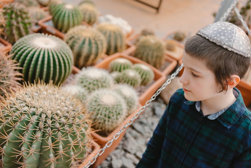 ברכת האילנות בגן הוותיק ביותר ברוסיה; צפו