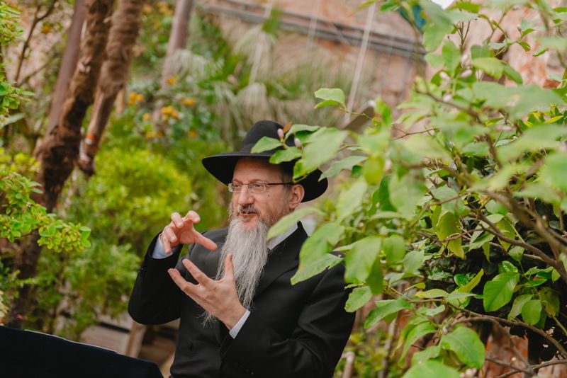 ברכת האילנות בגן הוותיק ביותר ברוסיה; צפו