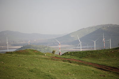 הגולן ליד הכפר מג'דל שמס
