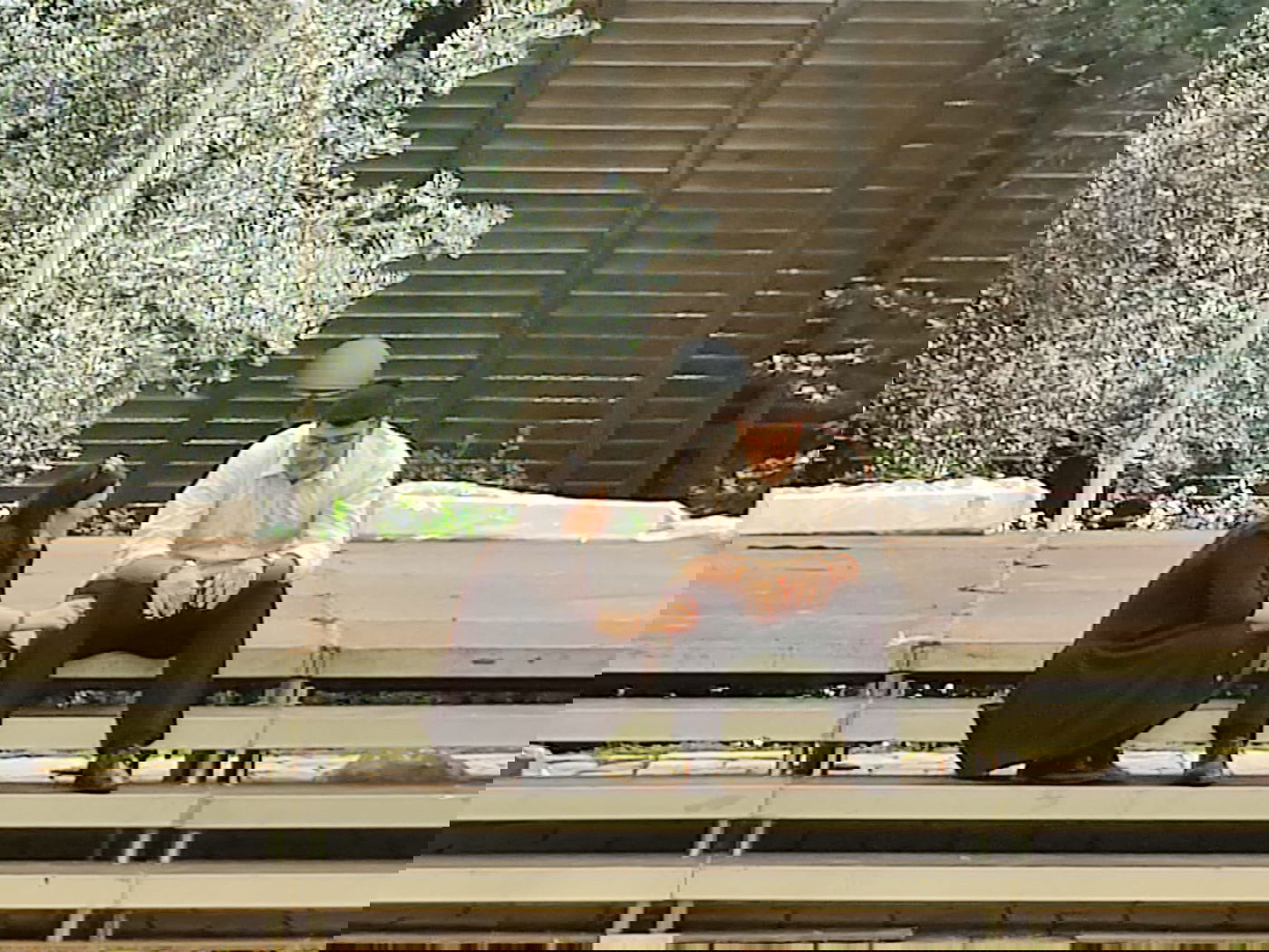 זופניק בכיכר • כל התמונות והנייעס של השבוע