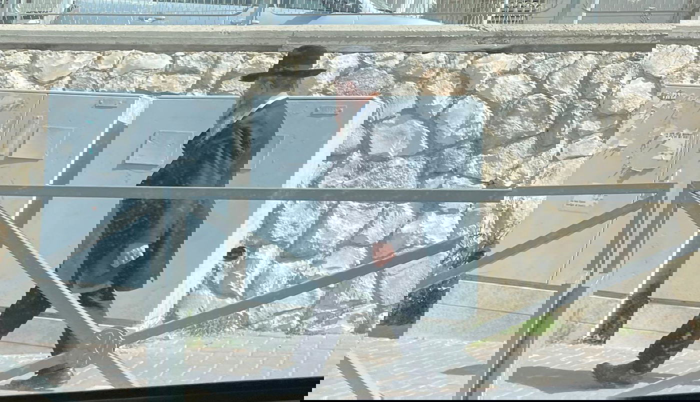 זופניק בכיכר • כל התמונות והנייעס של השבוע