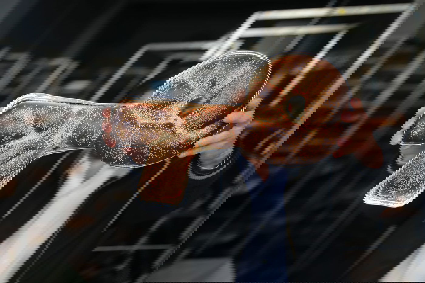 חלות המפתח במאפייה הירושלמית • תיעוד