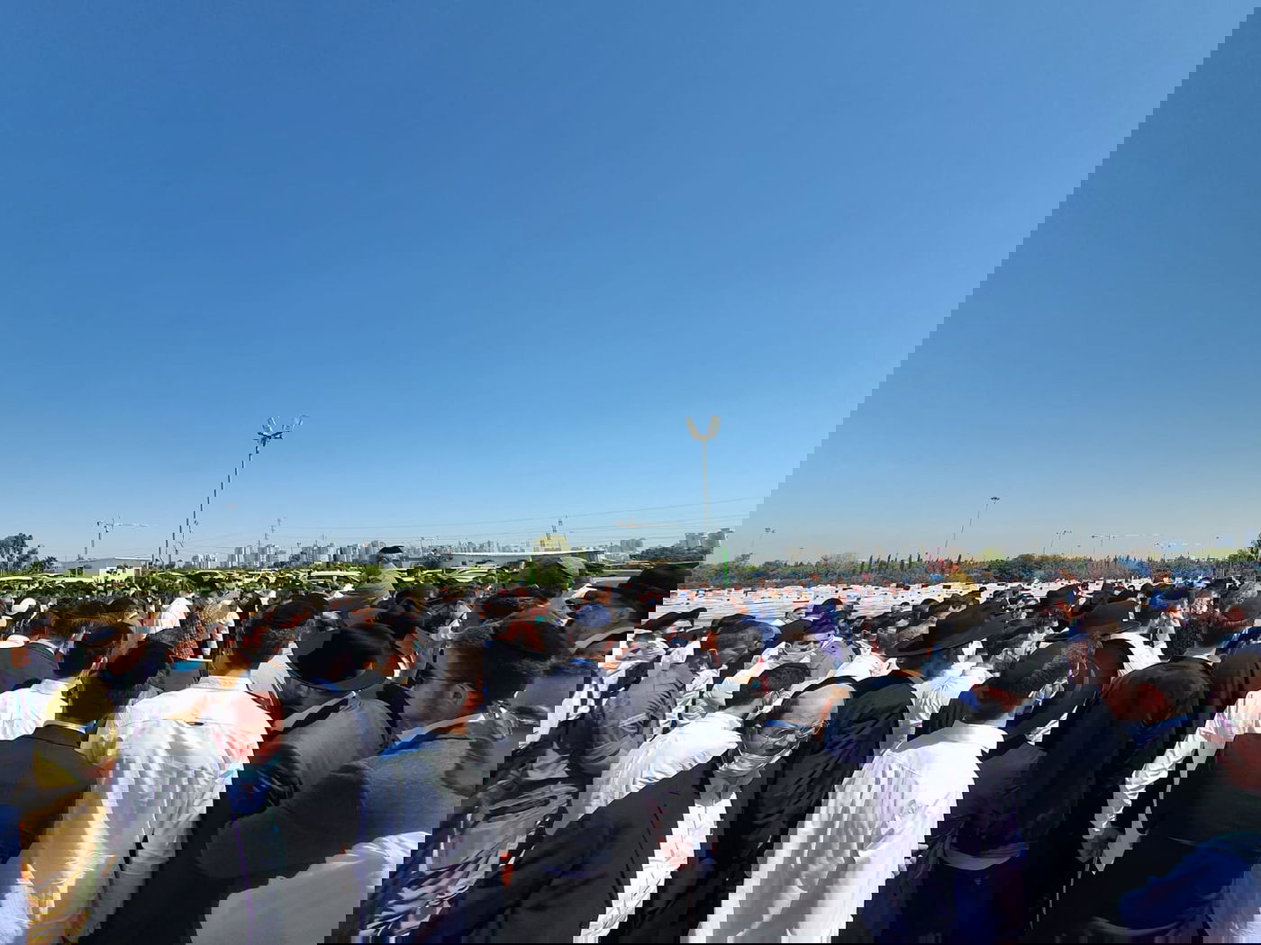 האב זעק: "אבא לא קובר ילד; לא יהיו לי ממך נכדים ונכדות"