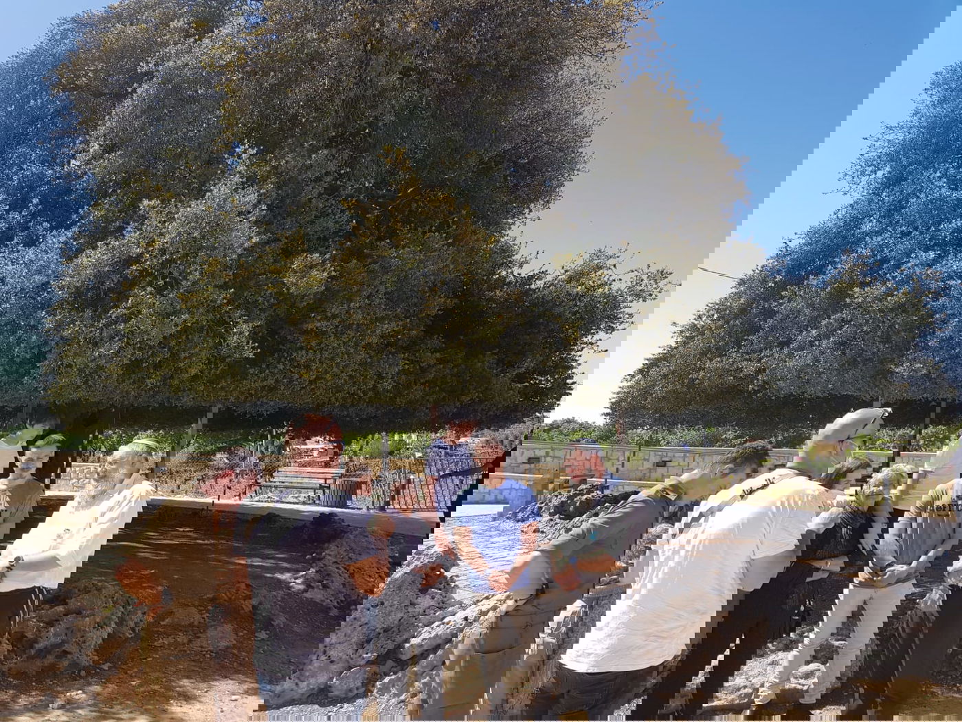 ביקרה במקום בו נפל אחיה - אחרי 73 שנים