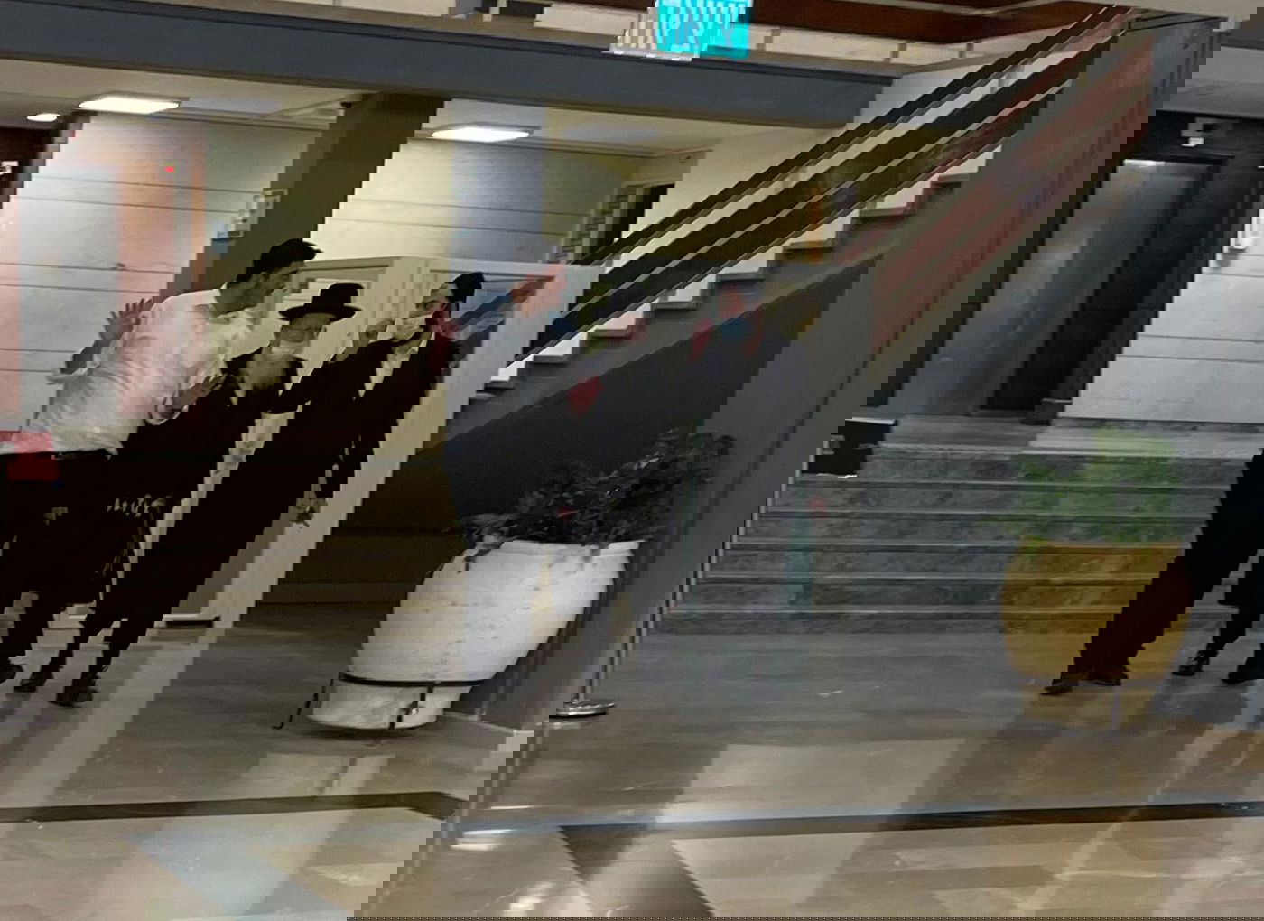 זופניק בכיכר • כל התמונות והנייעס של השבוע