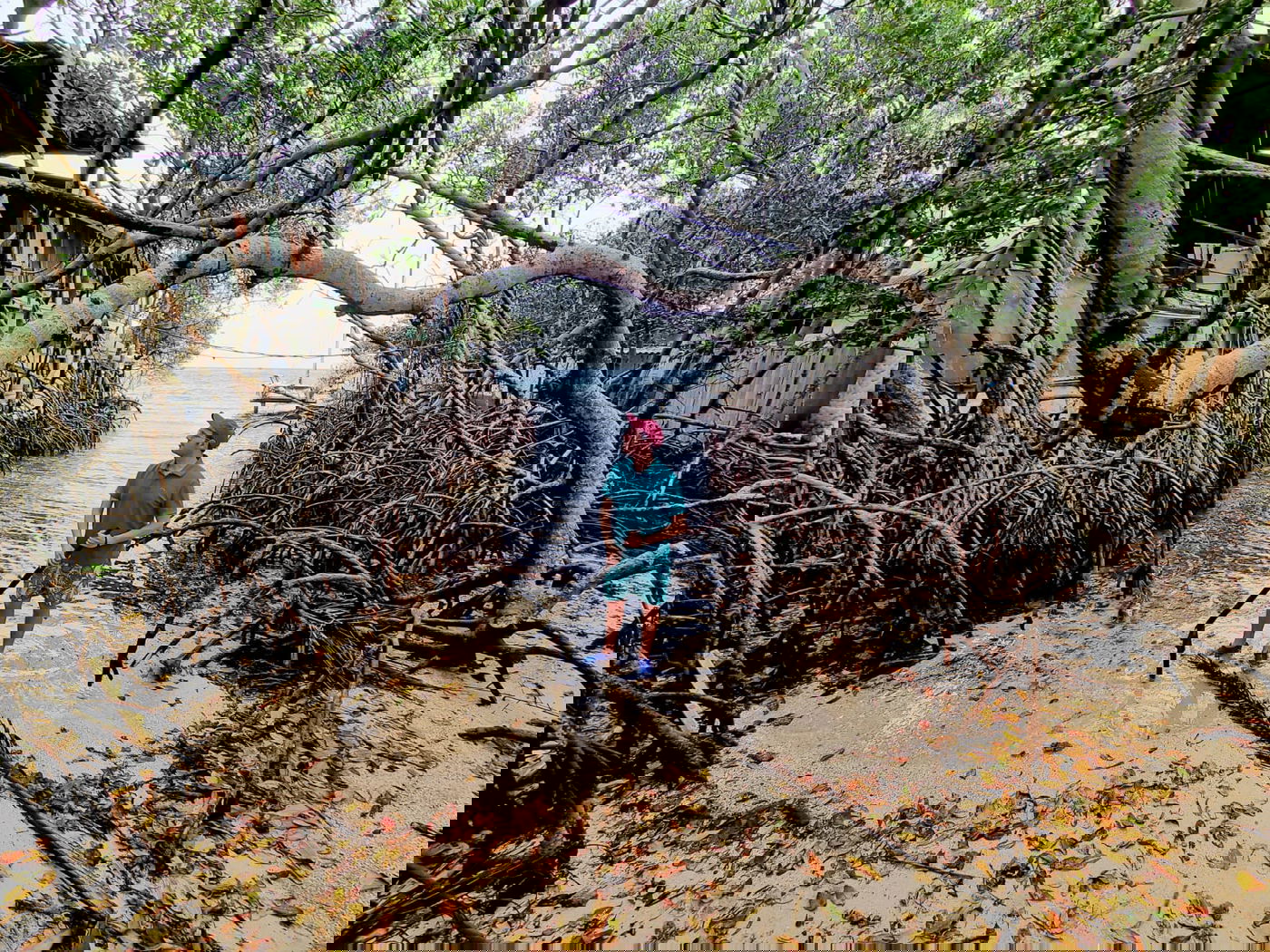 זופניק בכיכר • כל התמונות והנייעס של השבוע