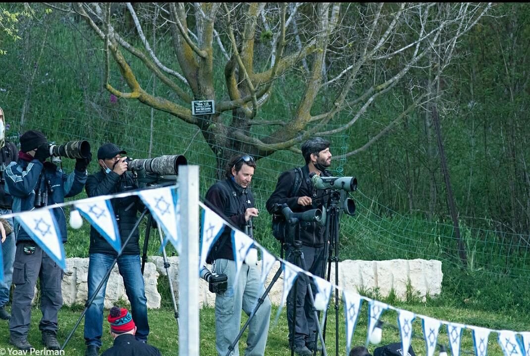 בפעם הראשונה: האנפית הגיעה לארץ • צפו