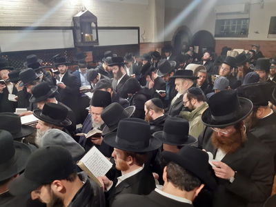 ההמונים בתפילה על הציון בעג'ור | ארכיון