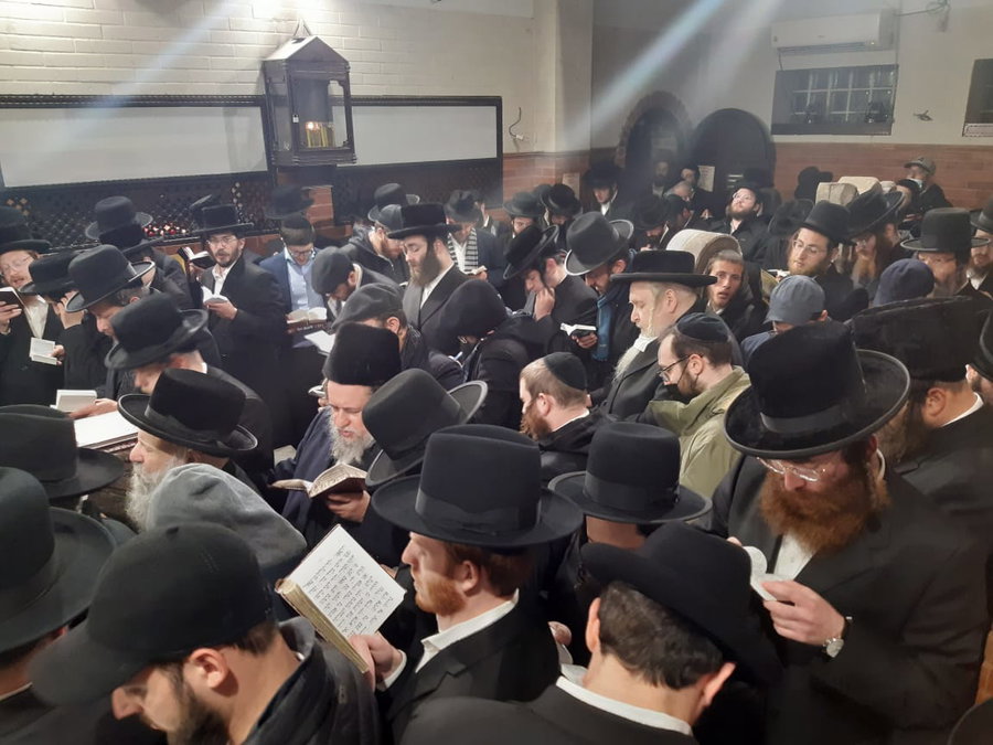 ההמונים בתפילה על הציון בעג'ור | ארכיון