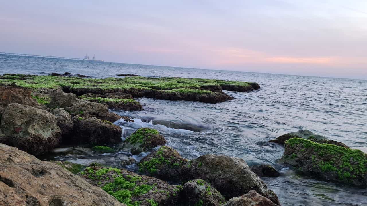 חוף ים, אילוסטרציה