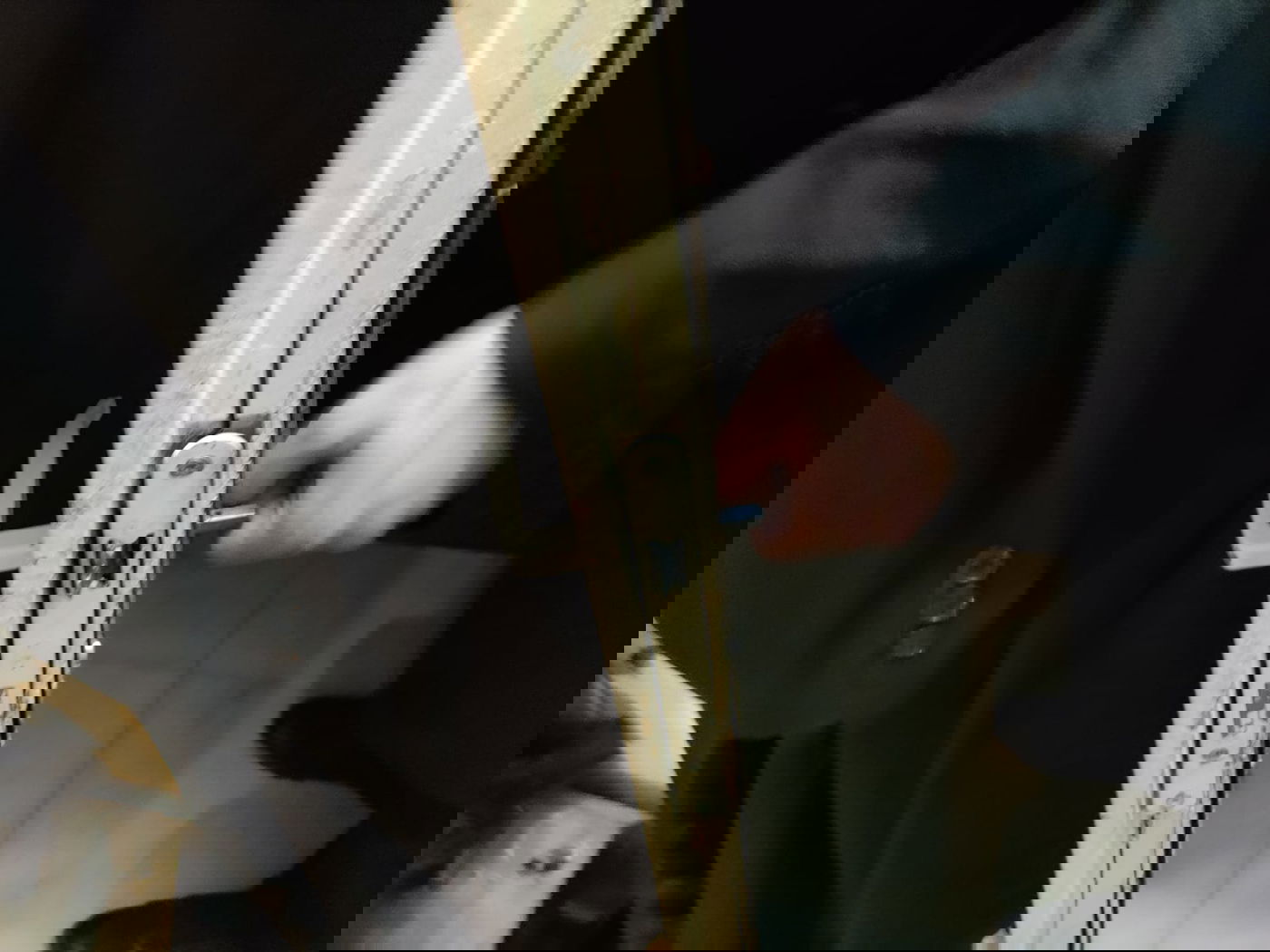 הדלת שנפרצה