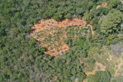 החלקות שנתפסו