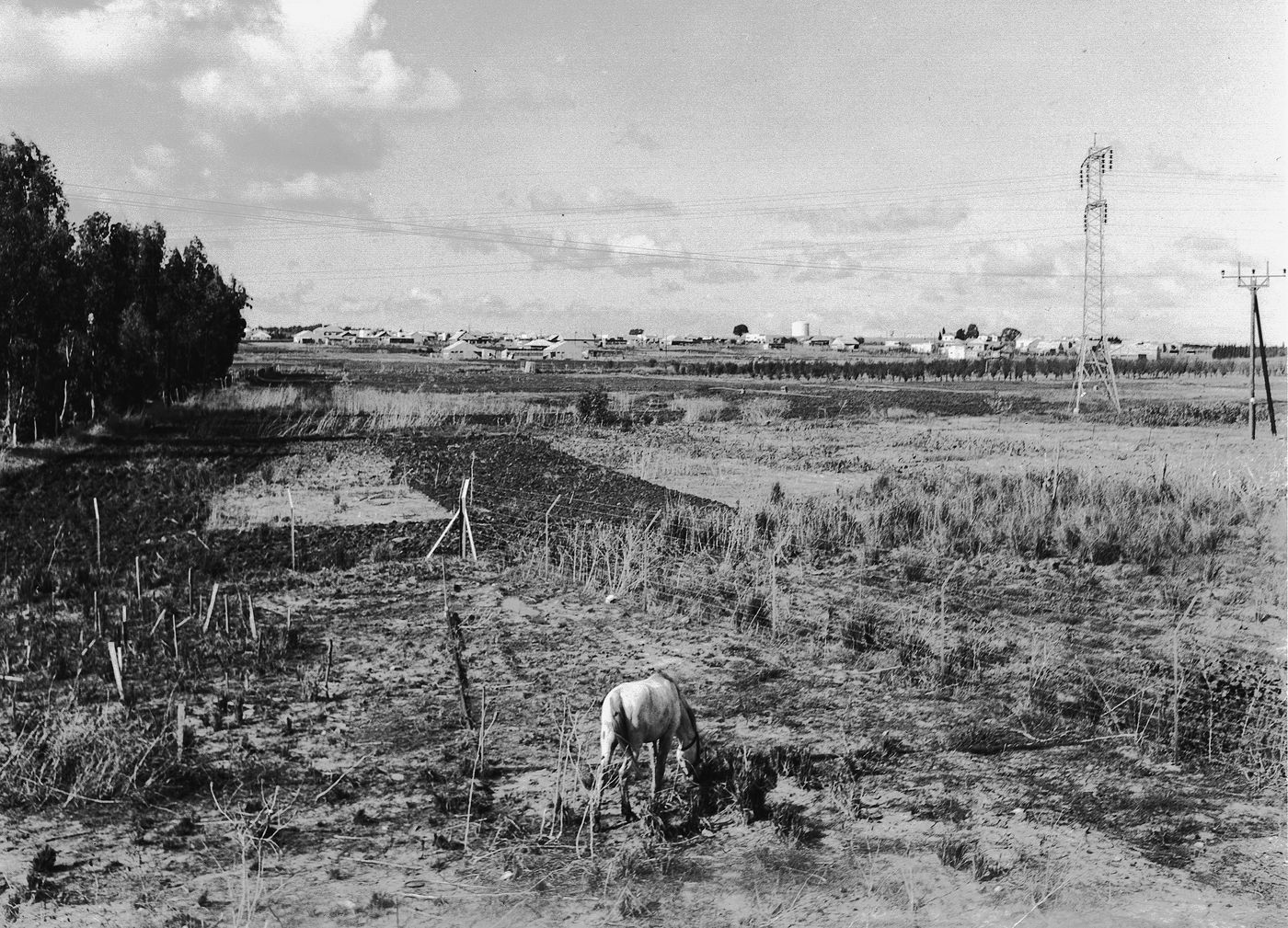 השדות שהקיפו את חדרה, בשנת 1938