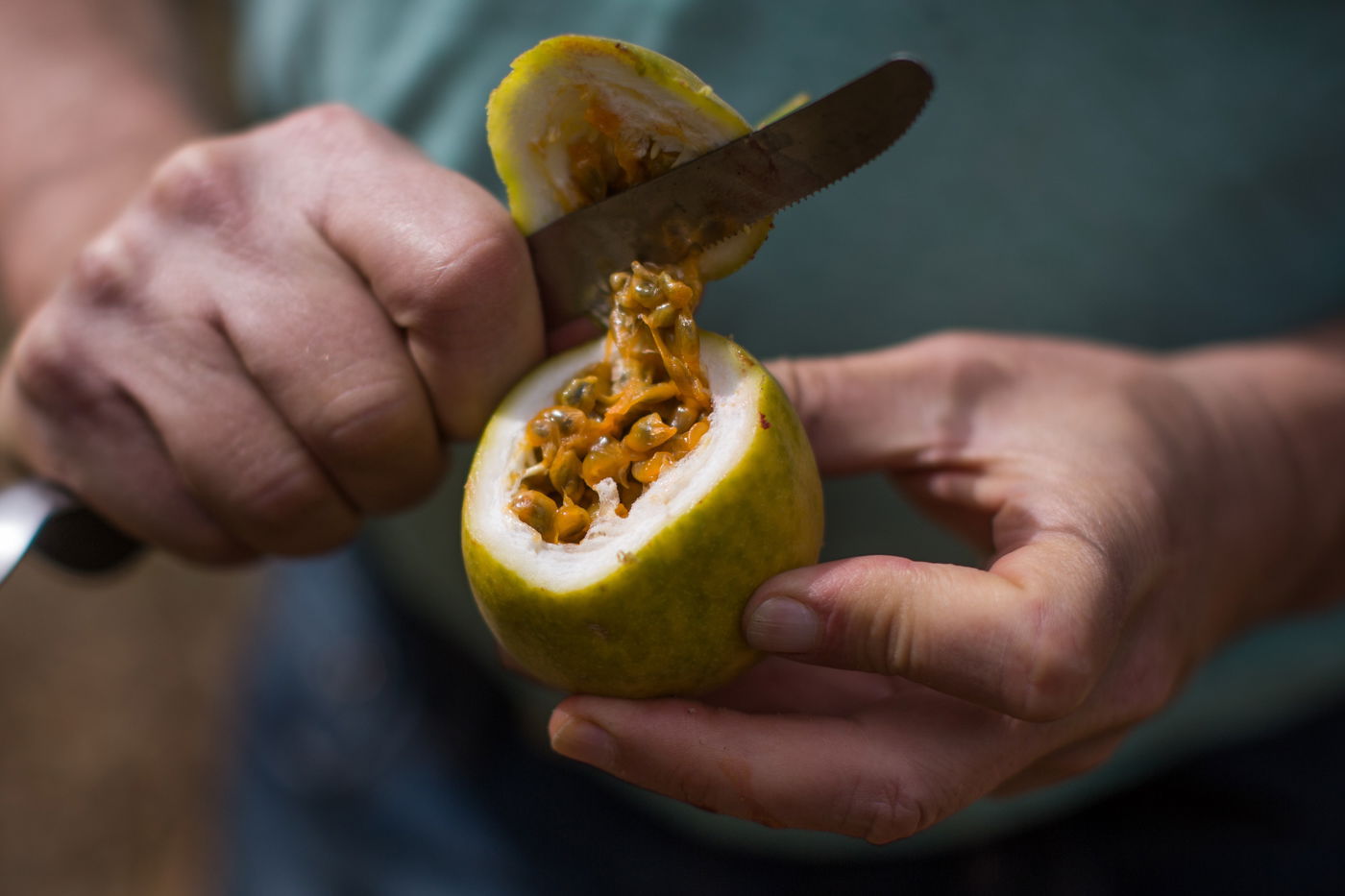 האם יש ערלה בפסיפלורה, בחציל ובפאפיה?