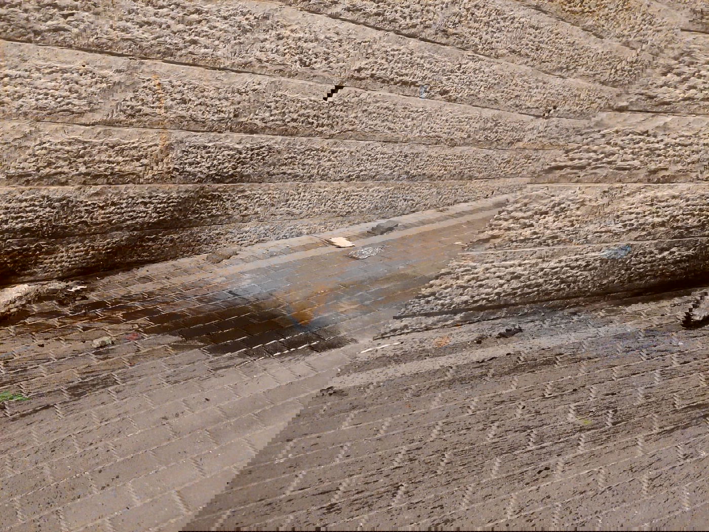 אחד מבקבוקי התבעירה שהתלקח ברחוב אבי עזרי