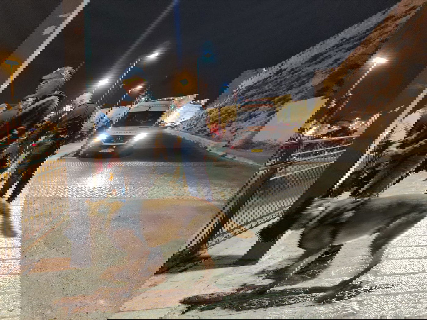 הבלשים - התחפשו לחרדים; שני התוקפים הערבים - נעצרו