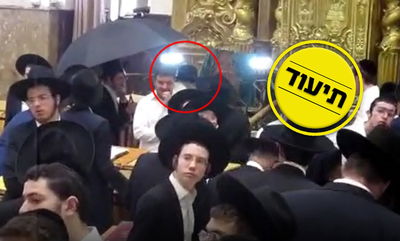 פוניבז', היום