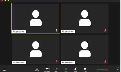 זום, אילוסטרציה