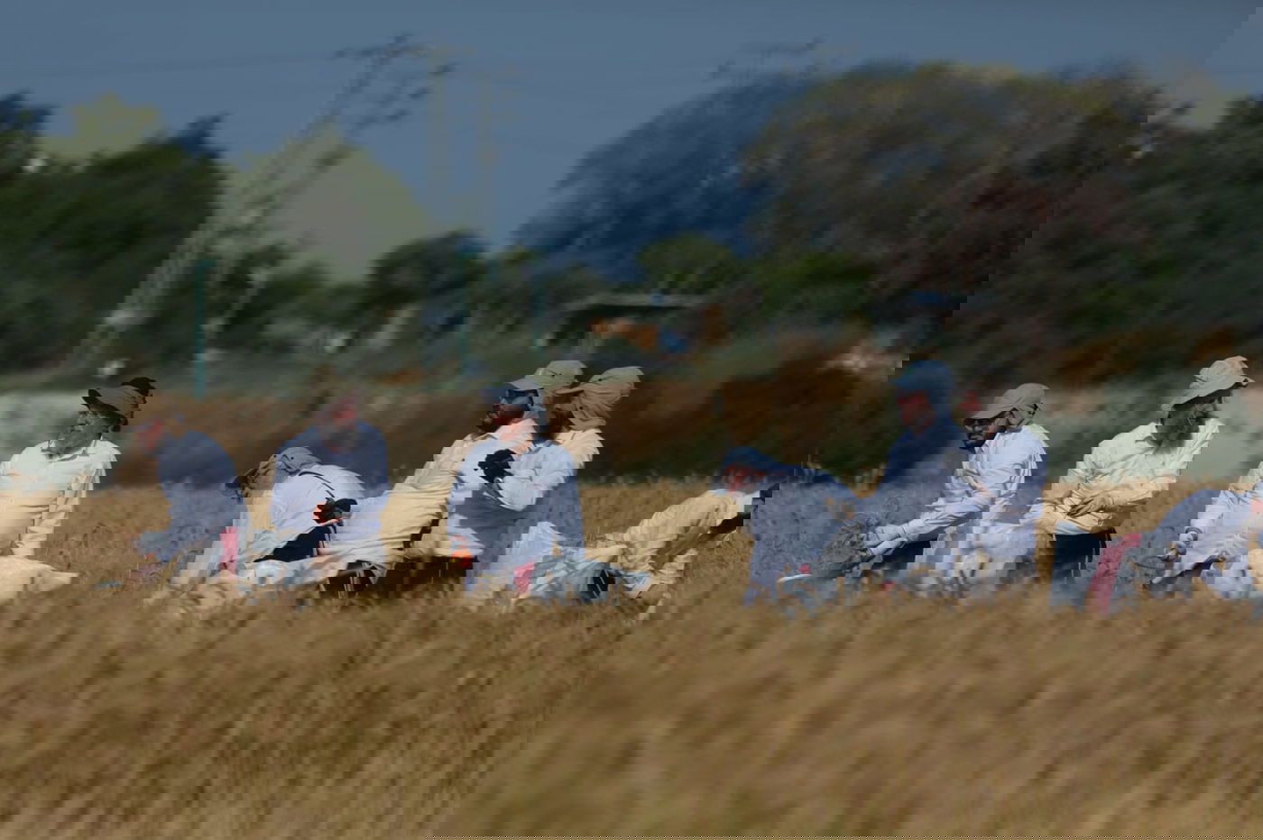 תיעוד: כך קצרו חיטים למצות לשנתיים הקרובות