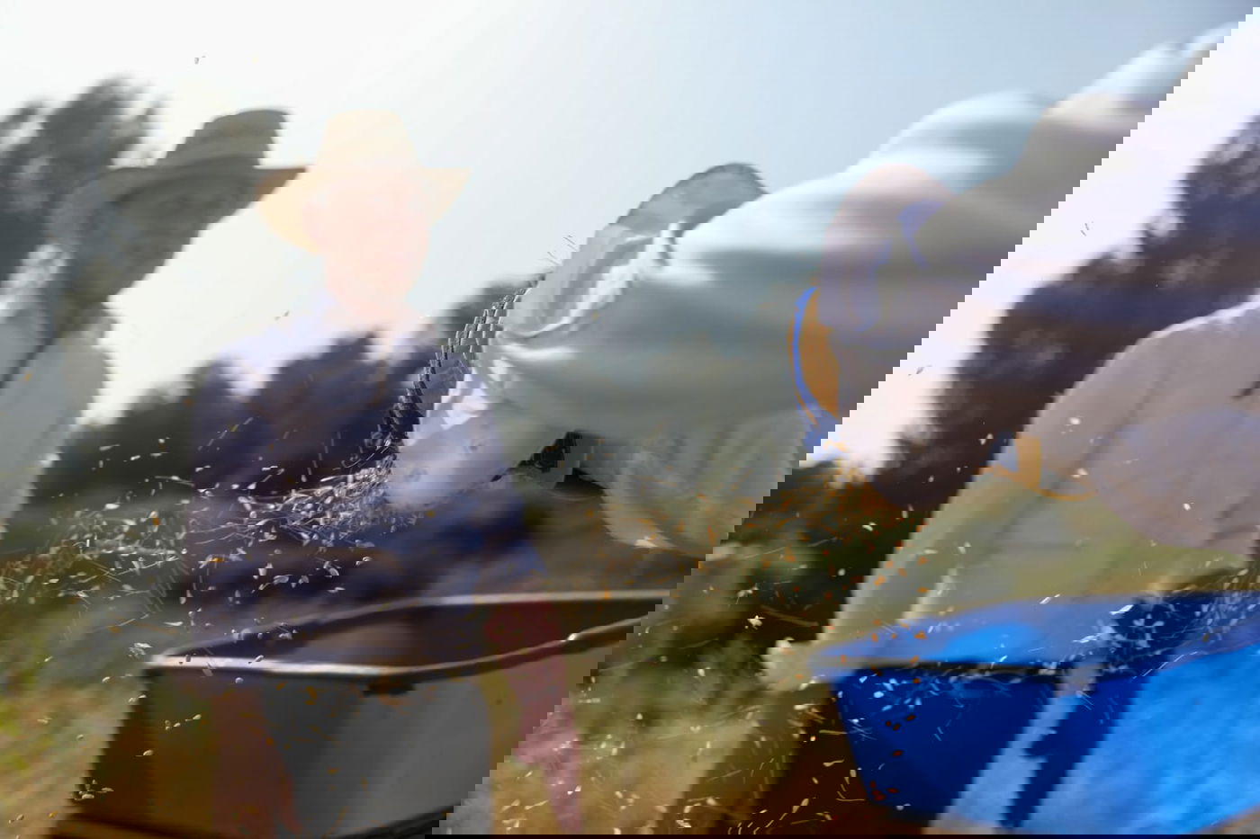 תיעוד: כך קצרו חיטים למצות לשנתיים הקרובות