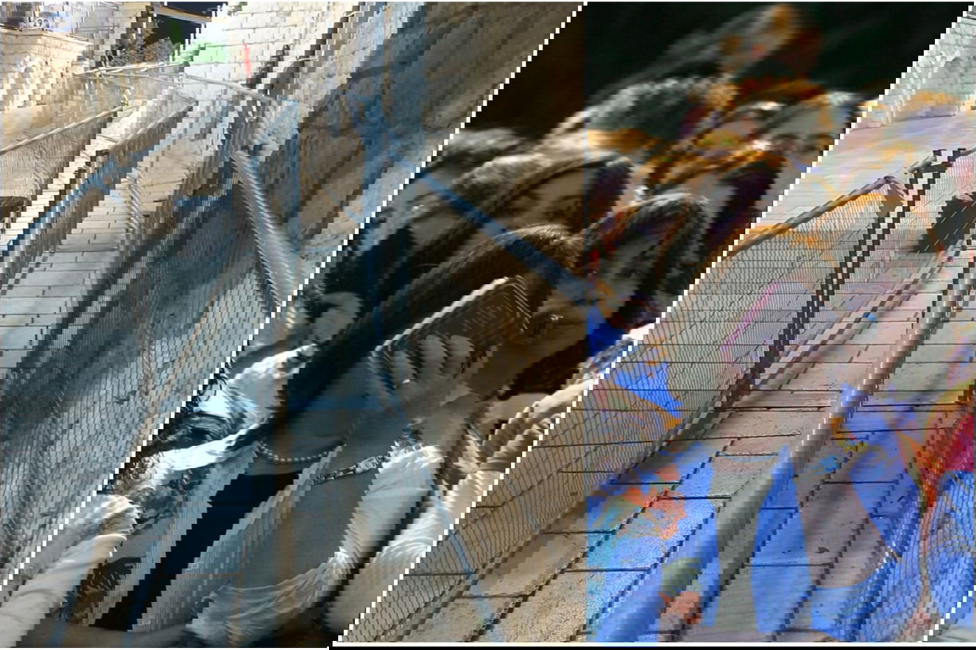 נשים במירון, בעבר, והגדרות המחכות להן השנה