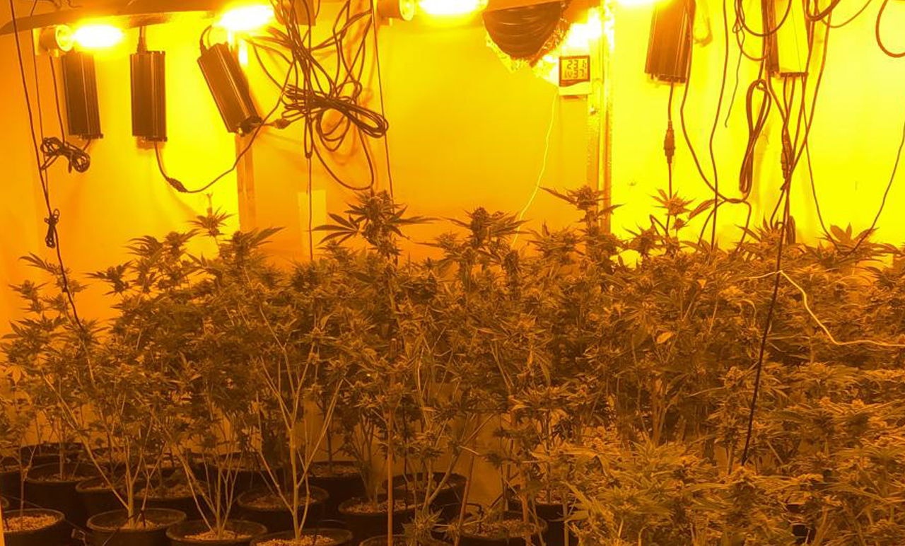 מעבדת סמים. אילוסטרציה