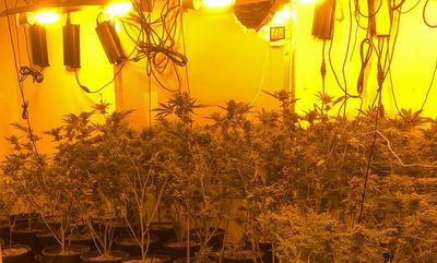 מעבדת סמים. אילוסטרציה