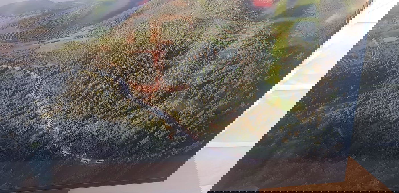 מאות אוטובוסים בדרך למירון