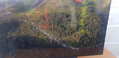 מאות אוטובוסים בדרך למירון