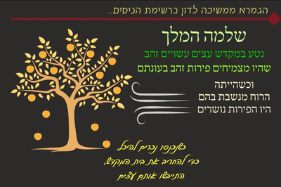 מסכת יומא, דף כ"א • סיכום והמחשה של הדף היומי