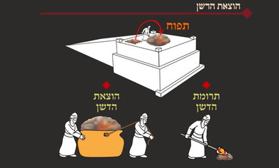 מסכת יומא, דף כ"ג • סיכום והמחשה של הדף היומי