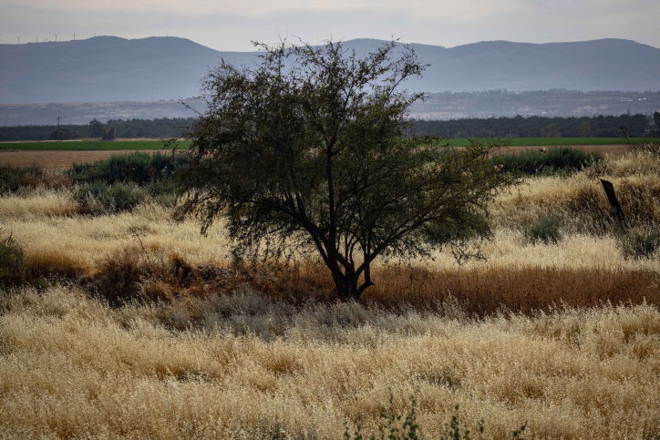 תחזית: ירידה בטמפרטורות, עדיין חם לעונה