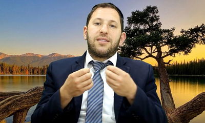 הרב נפתלי וסרמן על פרשת בהר-בחוקותי • צפו