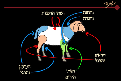 מסכת יומא, דף כ"ה • סיכום והמחשה של הדף היומי