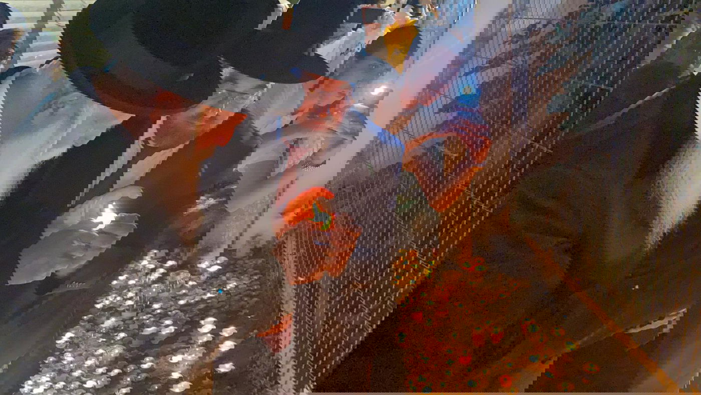 כשהגרי"ד גרוסמן דמע במקום האסון במירון • צפו