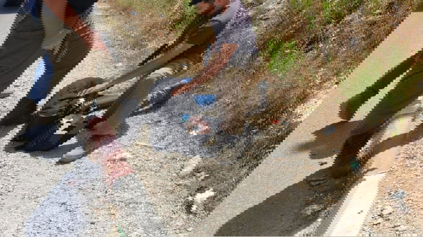 מחבלת ניסתה לבצע פיגוע דקירה ונוטרלה