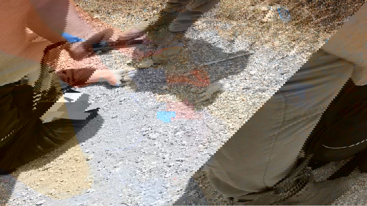 מחבלת ניסתה לבצע פיגוע דקירה ונוטרלה