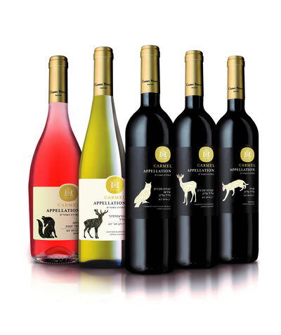 שנת הבציר החדשה של הסדרה האהובה