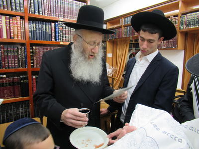 הגאון רבי יהודה אריה דינר