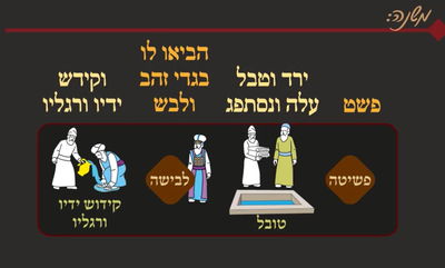 מסכת יומא, דף ל"א • סיכום והמחשה של הדף היומי